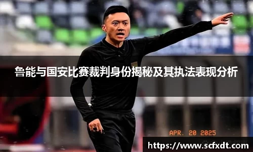 鲁能与国安比赛裁判身份揭秘及其执法表现分析